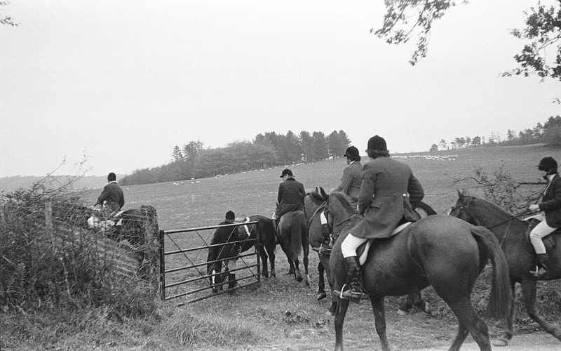 Geoff Hunt Net Worth 2026 - How Australia's Eight-Time Champion Transformed Squash Excellence Into Enduring Wealth