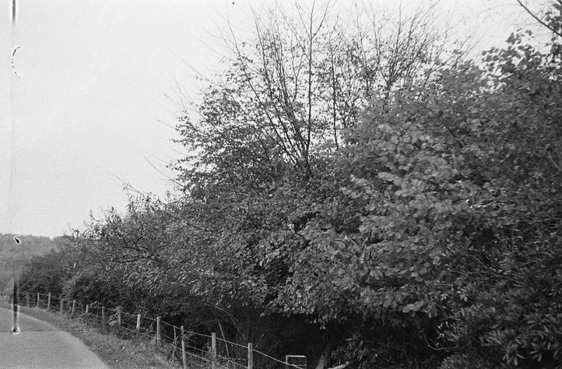 Geoff Hunt Net Worth 2026 - How Australia's Pioneer Transformed Legacy Into Lasting Wealth