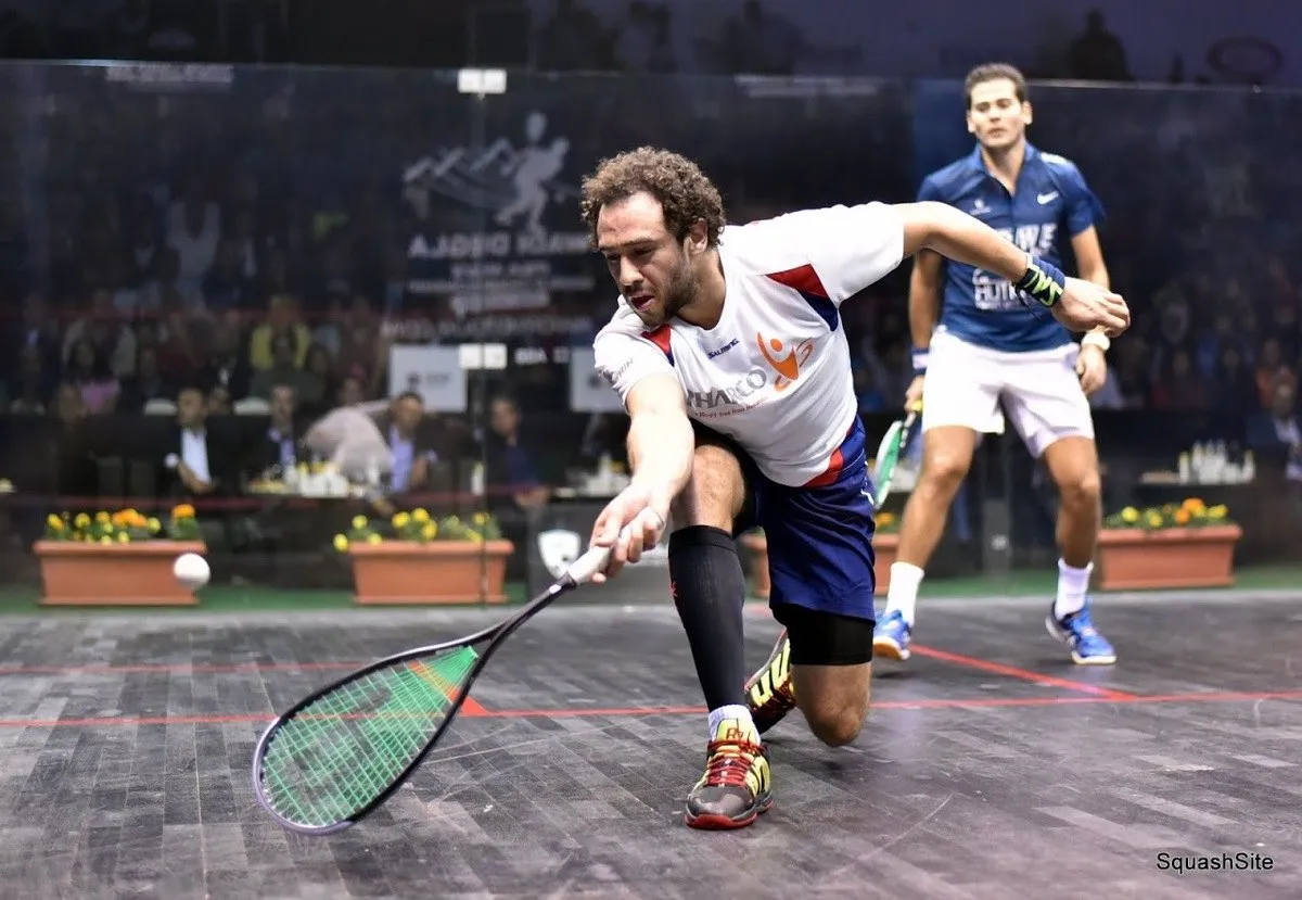 Ramy Ashour